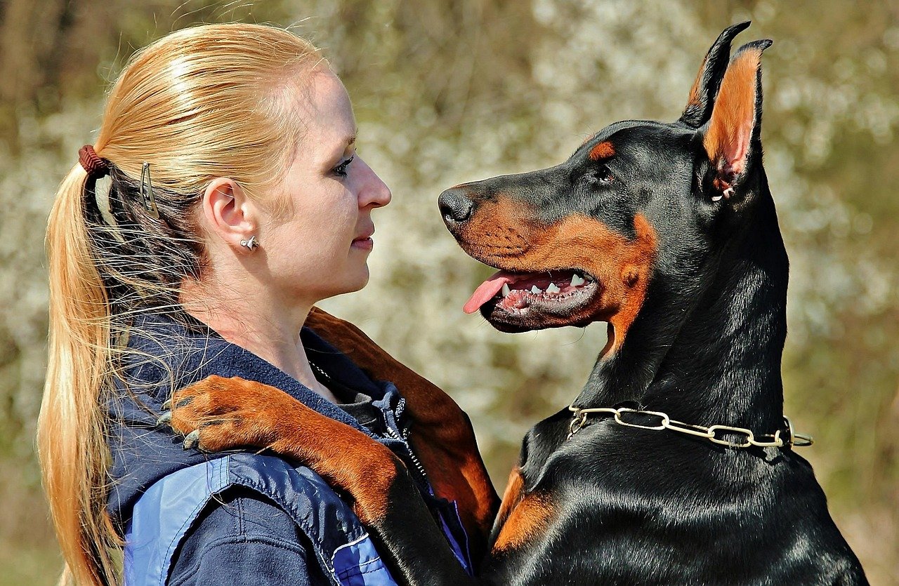 Veterinarian caring for a dog